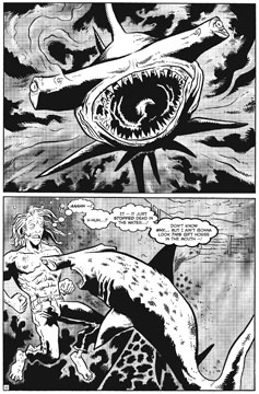 Casey encounters Karai's shark.